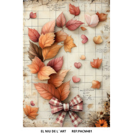 copy of 